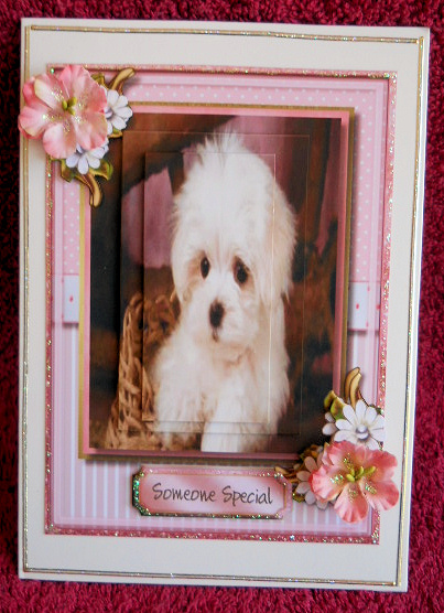 Gorgeous Little Pooch in His Basket  by Gail Pennycuick