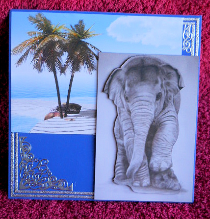 Baby Elephant by Gail Pennycuick
