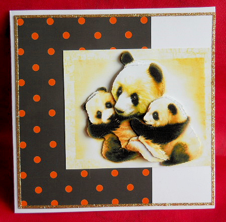 Orange Polka Dots with White Outline on Black (10mm) by Gail Pennycuick