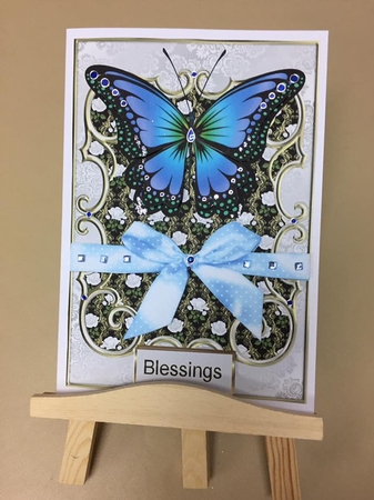 Butterflies and bo by Gail Collins