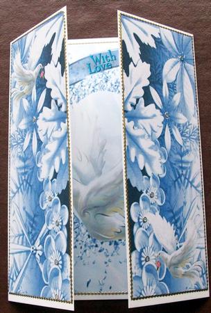 Beautiful White Dove in Flight, Gatefold by Gail Collins