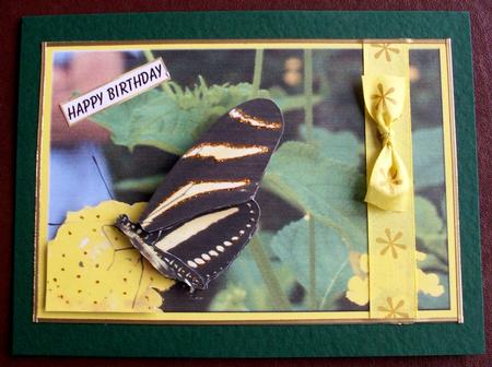 Yellow Butterfly Decoupage by Gail Collins