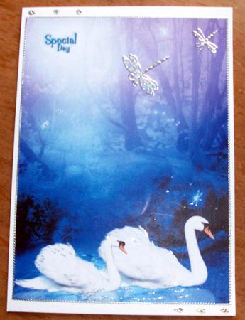 A4 Swans by Gail Collins