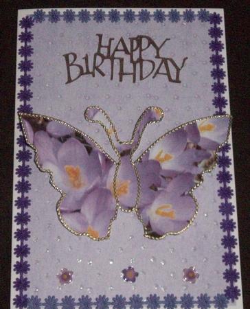 Crocus Butterflies by Gail Collins