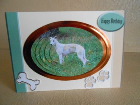 Italian Greyhound - Whippet by Gaye Robinson