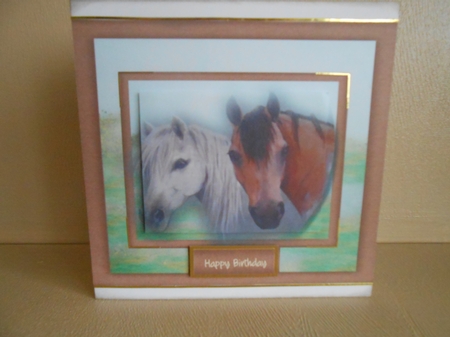 Two Beautiful Horses by Gaye Robinson