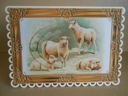 Farm Sheep Oval Pyramid by Gaye Robinson