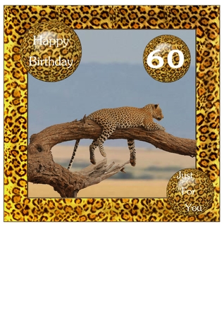 Animal Chunky Frames by Gaye Robinson