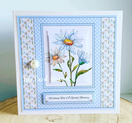 Lovely Daisies - Wishing You A Speedy Recovery by Gaynor Greaves