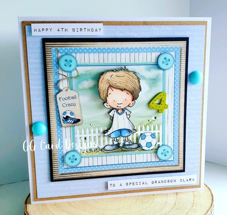 The Football Field by Gaynor Greaves