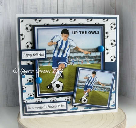 Football Crazy Blue by Gaynor Greaves