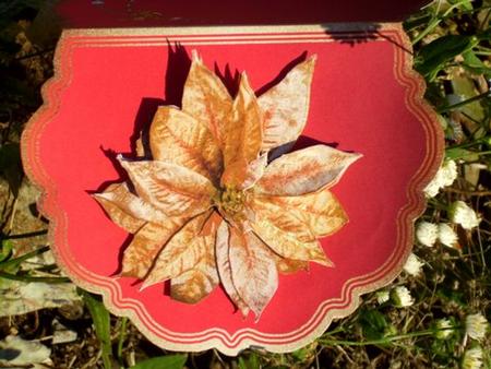 Gold Poinsettia Scallop Card by Geraldine Slate