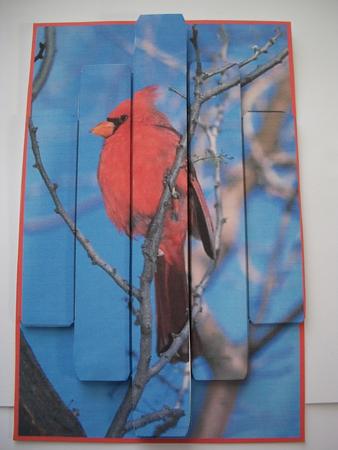 Panelled Red Bird by Geri Stringer