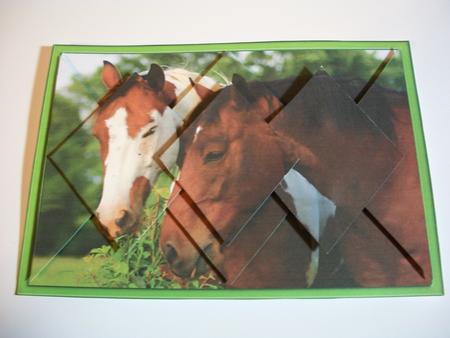 Portrait of Horses - Diamond Stacker Card by Geri Stringer