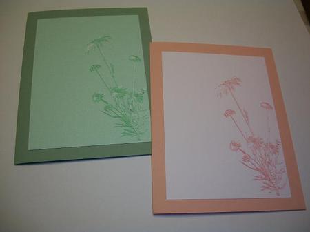 Daisy Notepaper or Card Front by Geri Stringer