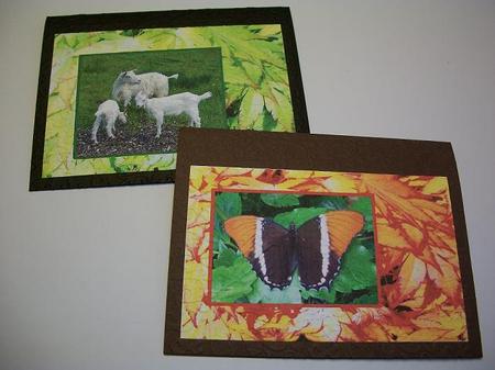 Butterfly and Goats Quick Cards by Geri Stringer