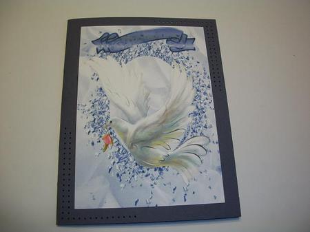 Beautiful White Dove in Flight, A4 by Geri Stringer