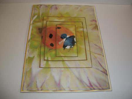 Ladybird Greeting Card by Geri Stringer