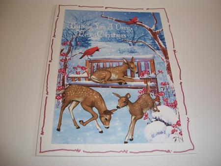 Playful Deers in Snow Scene with Cardinals A4 by Geri Stringer