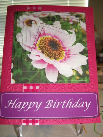 Pink Daisy Pyramid Featured Gallery Photo