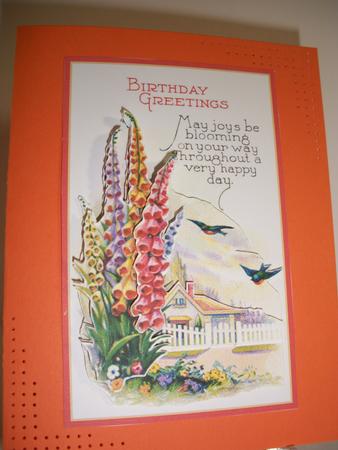 Bloomin Gorgeous by Geri Stringer