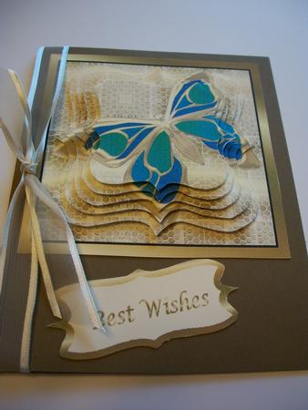 Stunning Butterly by Geri Stringer