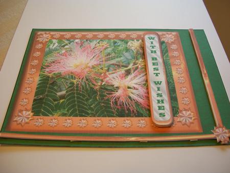 Mimosa Flowers with Copper Frame by Geri Stringer