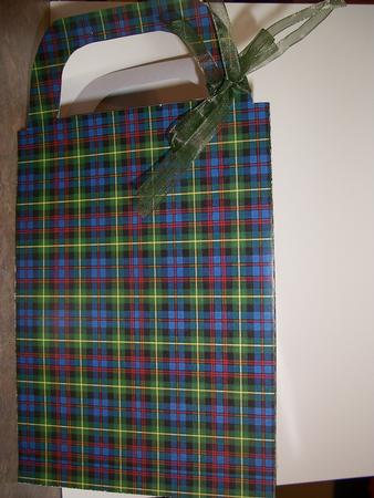 Green Tartan Gift Bag by Geri Stringer
