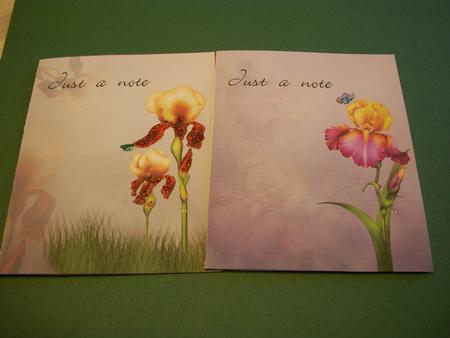 Beautiful Flowers Notelets - #5 & #6 by Geri Stringer
