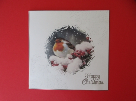 Christmas Red Robin matching 7x7ins Blank Insert  by Gillian Birch