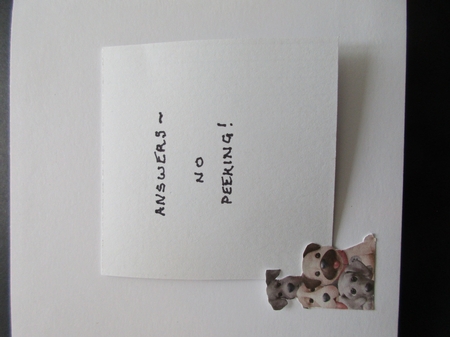 WORD SEARCH, DOGS, 2 by Gillian Birch