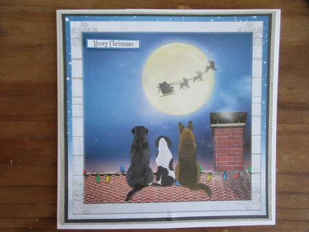 CHRISTMAS EVE DOGS quick card by Gillian Birch