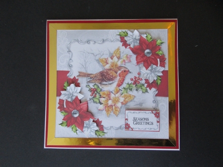 Robin and Poinsettias 8 by Gillian Birch
