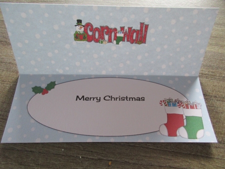 Merry Christmas from Cornwall Snowman Large Dl Insert by Gillian Birch