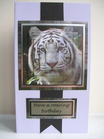 White Tiger by Gill Busby