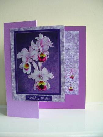 Orchids 2 Up with Birthday Verse by Gill Busby