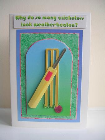 Wicket Step by Step by Gill Busby