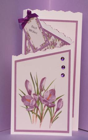 Crocus for February by Gill Caddy