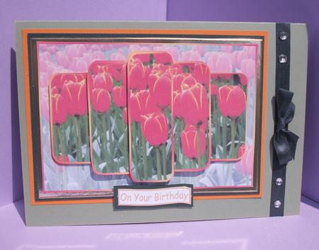 A Field of Tulips by Gill Caddy