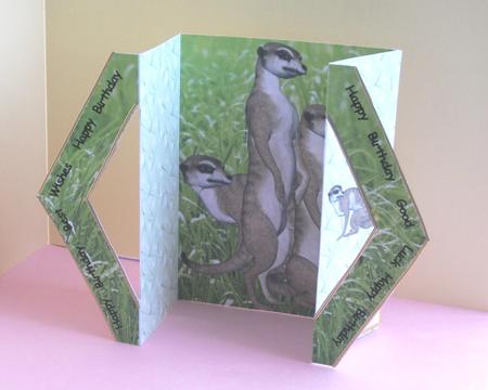 Meerkats Triangle Front Gatefold by Gill Caddy