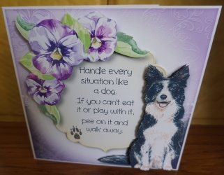 Handle Every Situation Like A Dog - Border Collie by Gill Dean