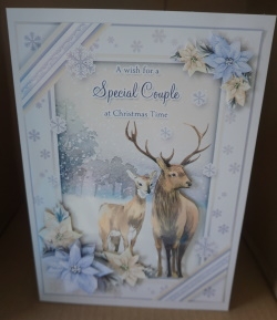 Christmas Wishes for a Special Couple by Gill Dean