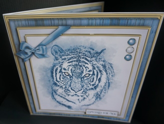 Majestic Tiger Mini Kit by Gill Dean