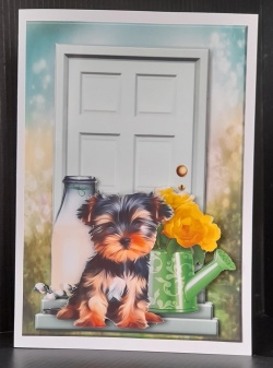 A5 New Home,  by Gill Dean