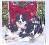 Dog Tired by Gill Dean