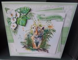 Tiger Cub Mini Kit by Gill Dean