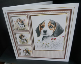 8x8 Little Beagles Mini Kit - x5 A4 sheets  by Gill Dean