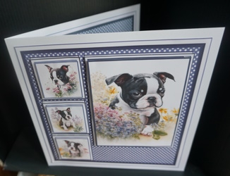 8x8 Boston Terriers Mini Kit - x5 A4 sheets  by Gill Dean