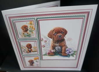 8x8 Baby French Mastiffs Mini Kit - x5 A4 sheets  by Gill Dean