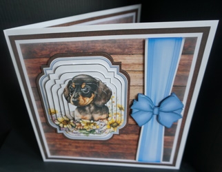 8x8 Daschund 1 Mini  Kit - x6 A4 sheets  by Gill Dean